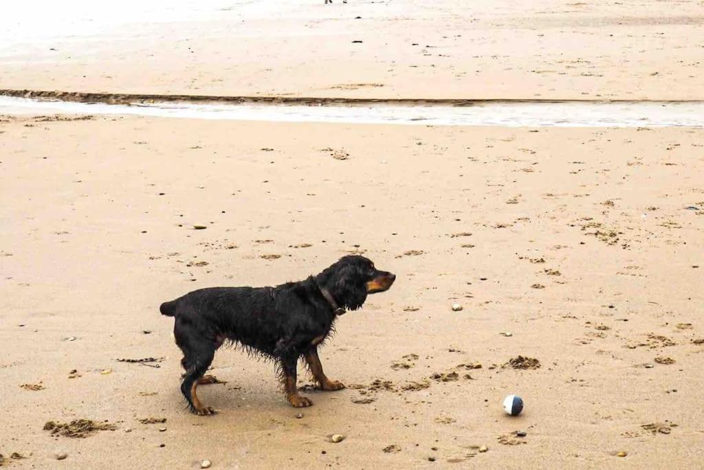Large Cottage, Beach, Pubs Shops, Netflix, BBQ, Dog Friendly Hunmanby Exterior foto